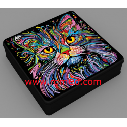 Coffret Chic Mistouflette...